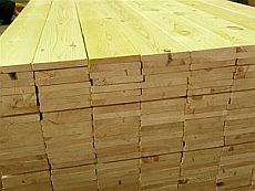 mediena